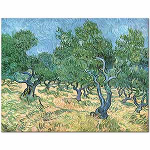 Olive Grove by Vincent van Gogh